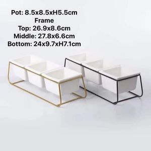 Succulent ceramic pot with metal frame